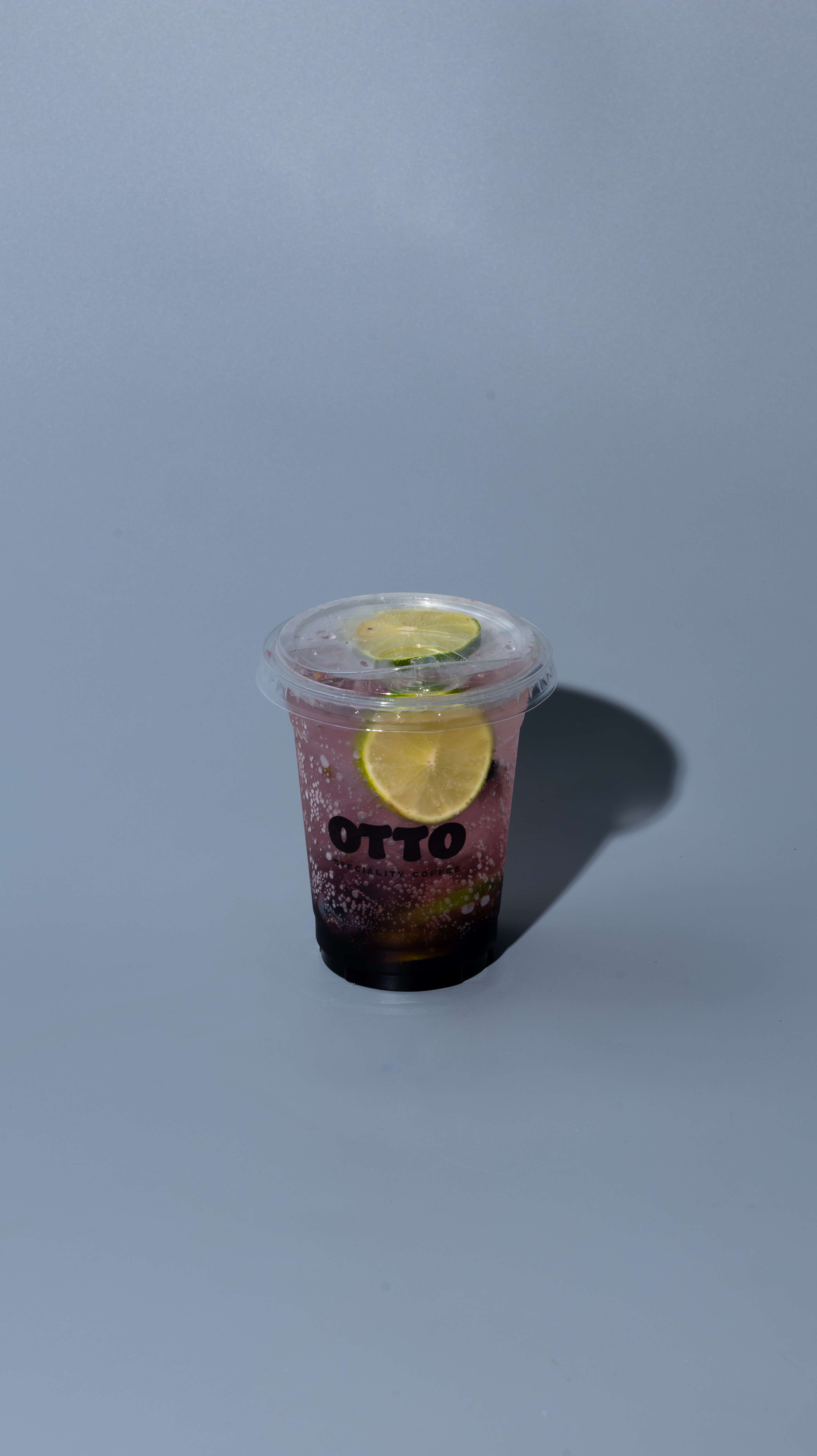 Blackberry Mojito