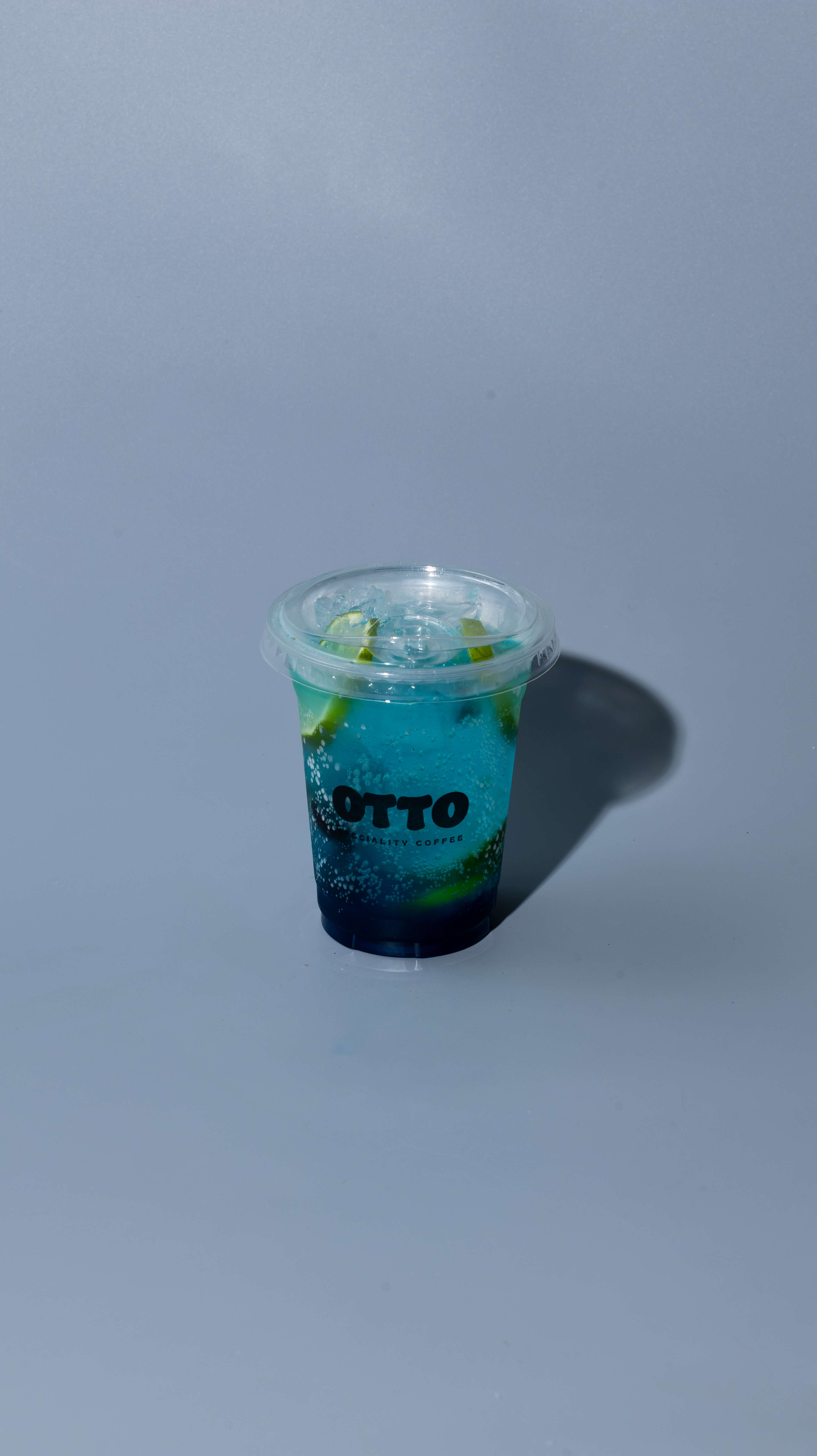 Blueberry Mojito