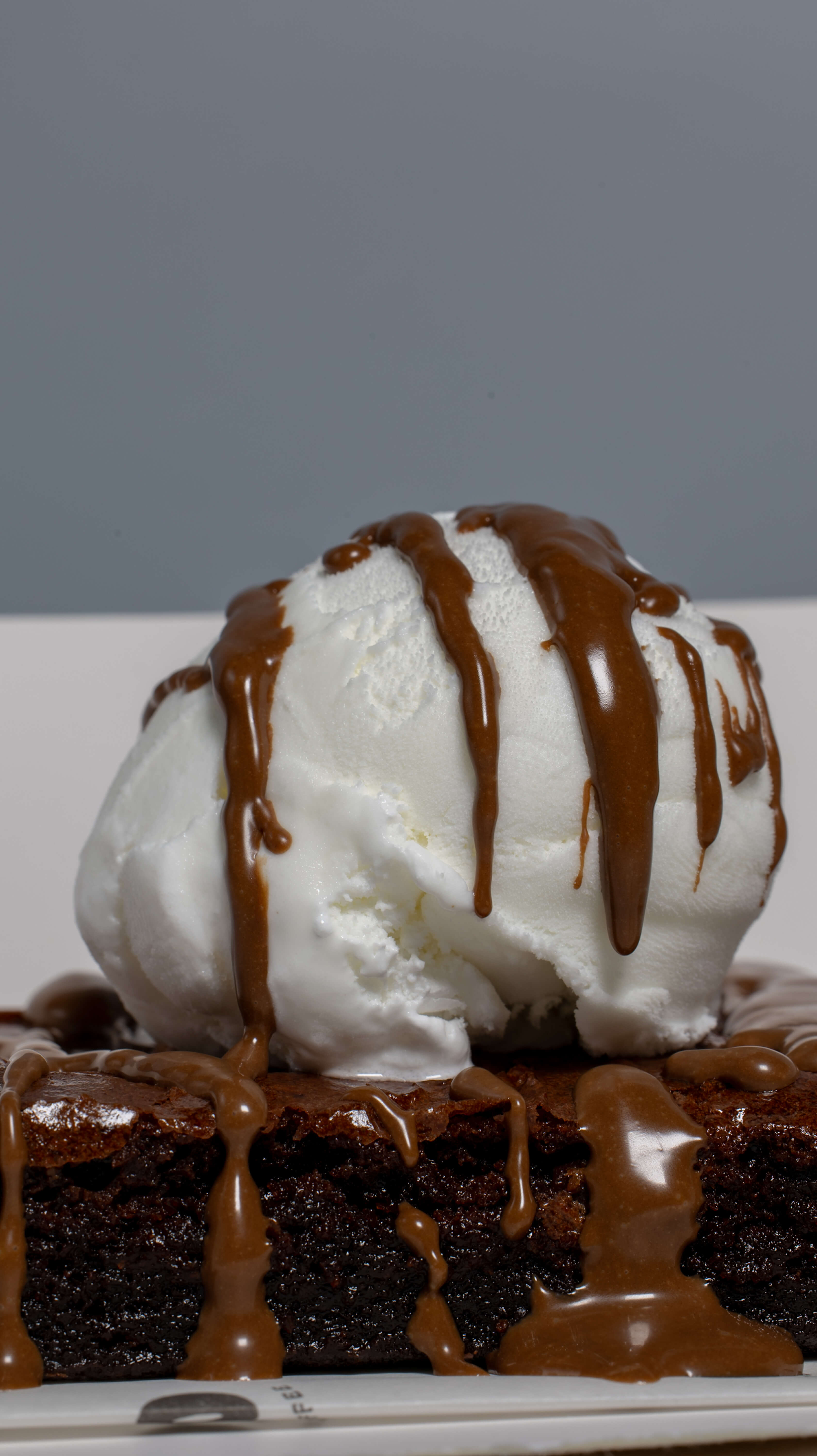 Chocolate Chip Brownie